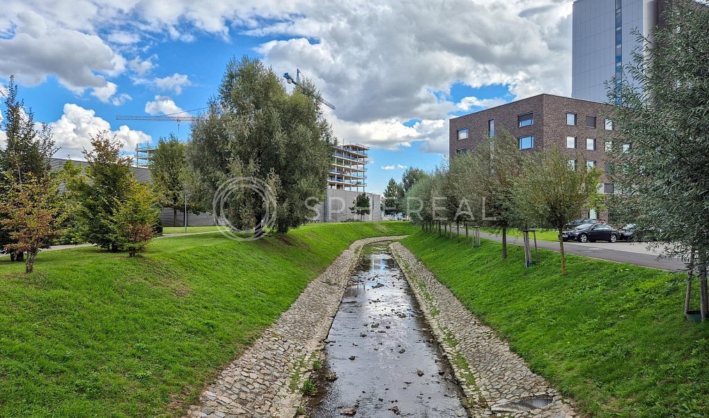 Pronájem kanceláře 397 m², Brno – náhled fotky 10