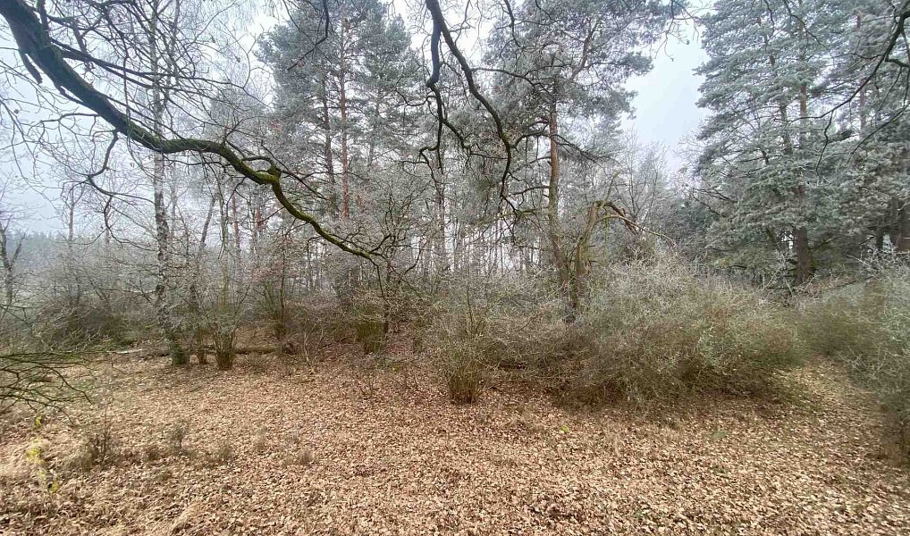 Prodej pole 13 059 m², Slatina – náhled fotky 7