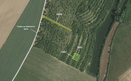 Prodej zahrady 1 342 m², Lovčice, okres Hodonín