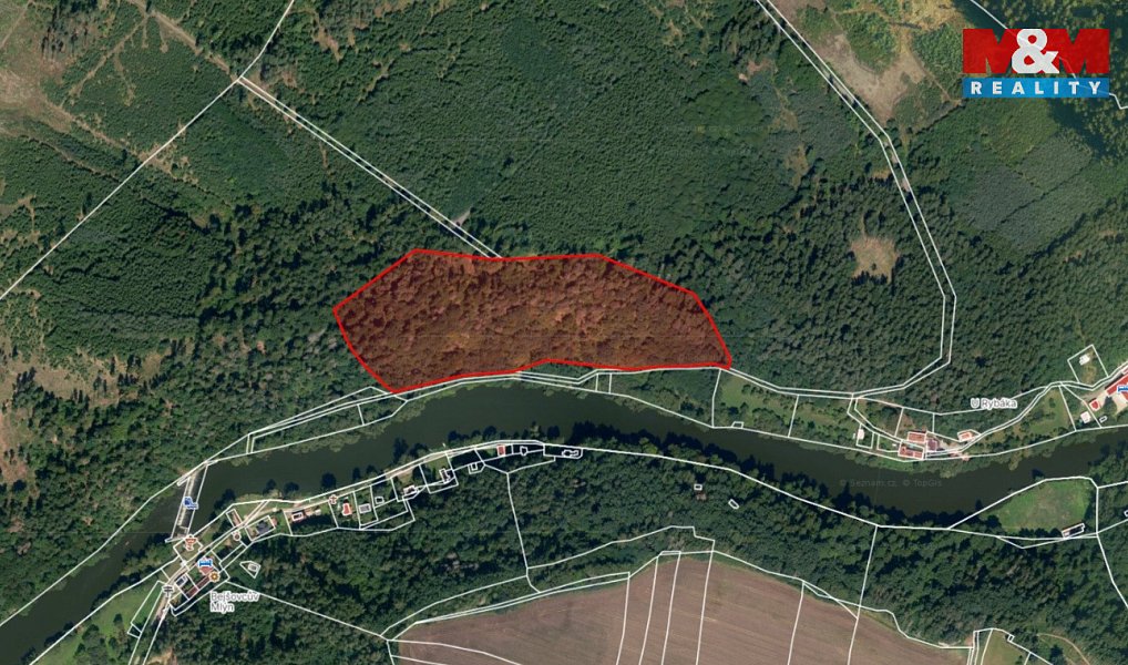 Prodej lesa 39 640 m², Řepeč – náhled fotky 2