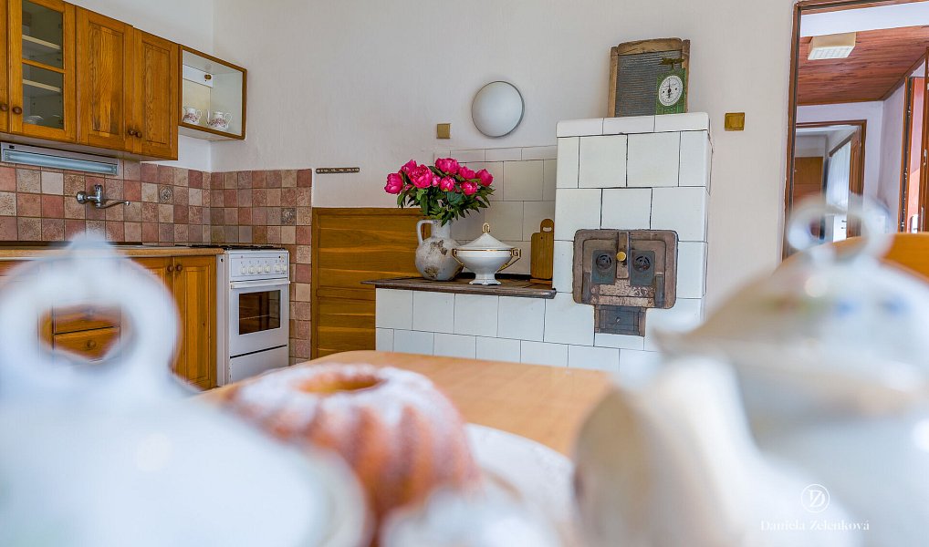 Prodej domu 105 m² s pozemkem 6 022 m², Plav – náhled fotky 3