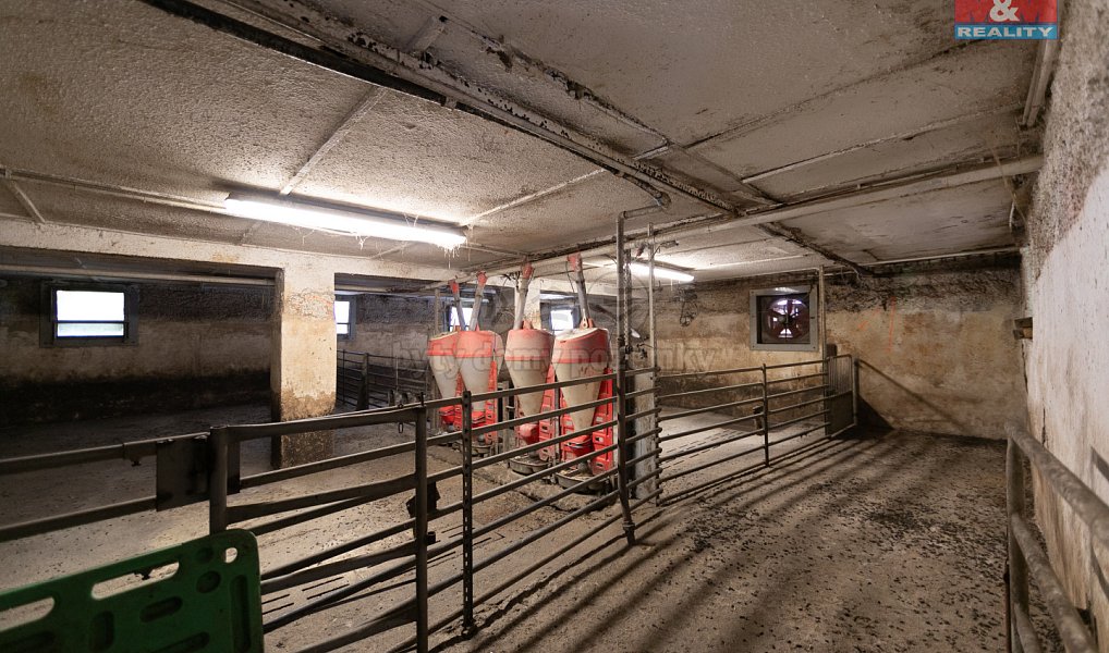 Prodej zemědělského objektu 1 446 m², Mrákov – náhled fotky 22