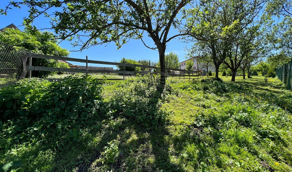 Prodej zahrady 744 m², Roštín – náhled fotky 11