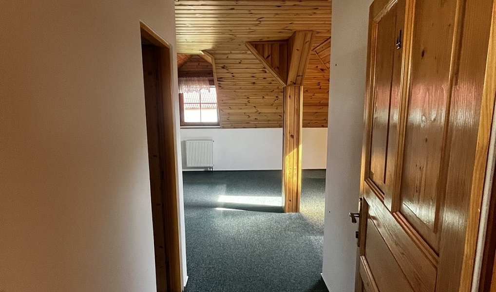Prodej domu 160 m² s pozemkem 4 055 m², Podhradní Lhota – náhled fotky 36