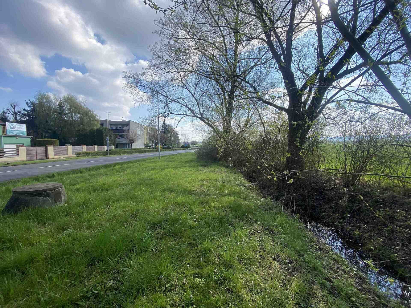 Prodej pozemku 3 560 m² – fotografie 4
