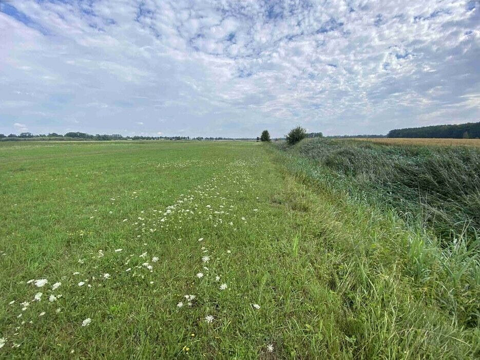 Prodej pole 16 506 m² – fotografie 4