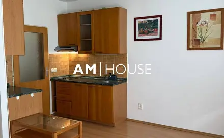 Pronájem bytu 1+kk 29 m²