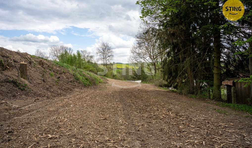 Prodej stavebního pozemku 3 350 m², Dolní Cerekev – náhled fotky 6