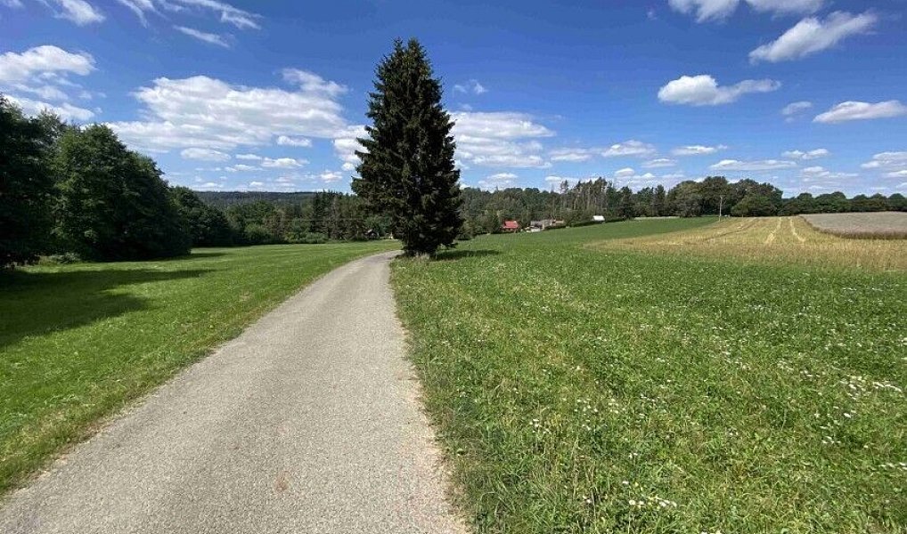 Prodej pozemku 3 466 m², Boňkov – náhled fotky 2