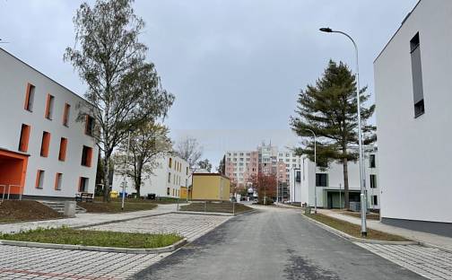 Pronájem bytu 2+kk 44 m², Kreuzmannova, Plzeň - Skvrňany