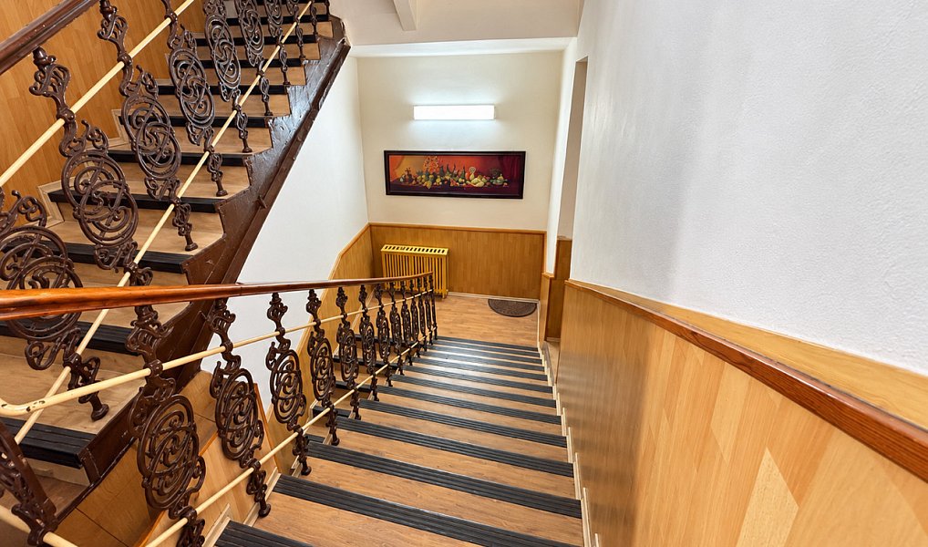 Prodej domu 560 m² s pozemkem 720 m², Slavonice – náhled fotky 8