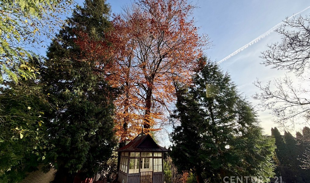 Pronájem domu 450 m² s pozemkem 1 452 m², Domažlice – náhled fotky 37