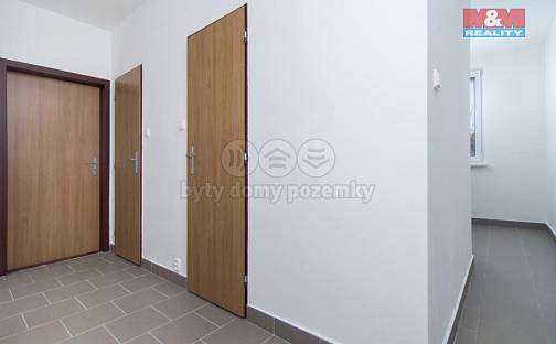 Prodej bytu 4+1 83 m², J. Božana, Frýdek-Místek - Frýdek