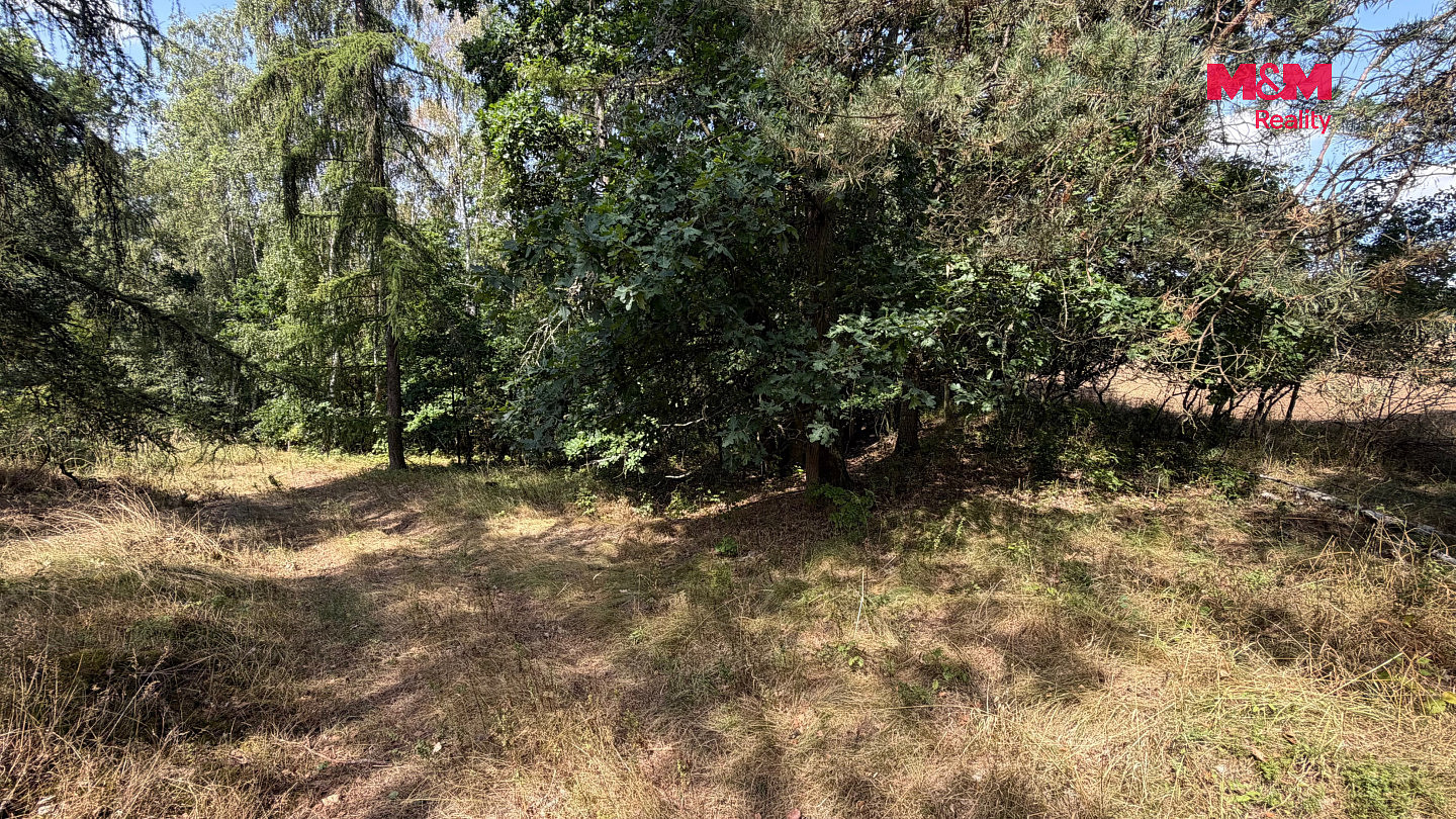 Prodej pole 8 460 m² – fotografie 2
