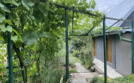 Prodej zahrady 363 m², Kroměříž