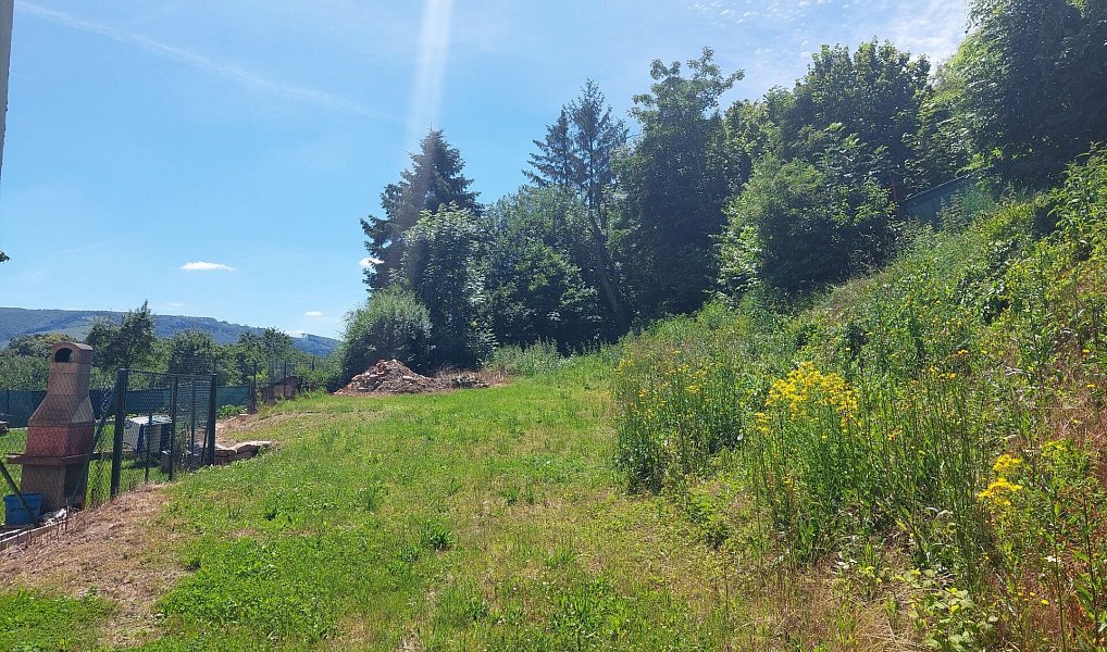 Prodej stavebního pozemku 2 760 m², Loukov – náhled fotky 2