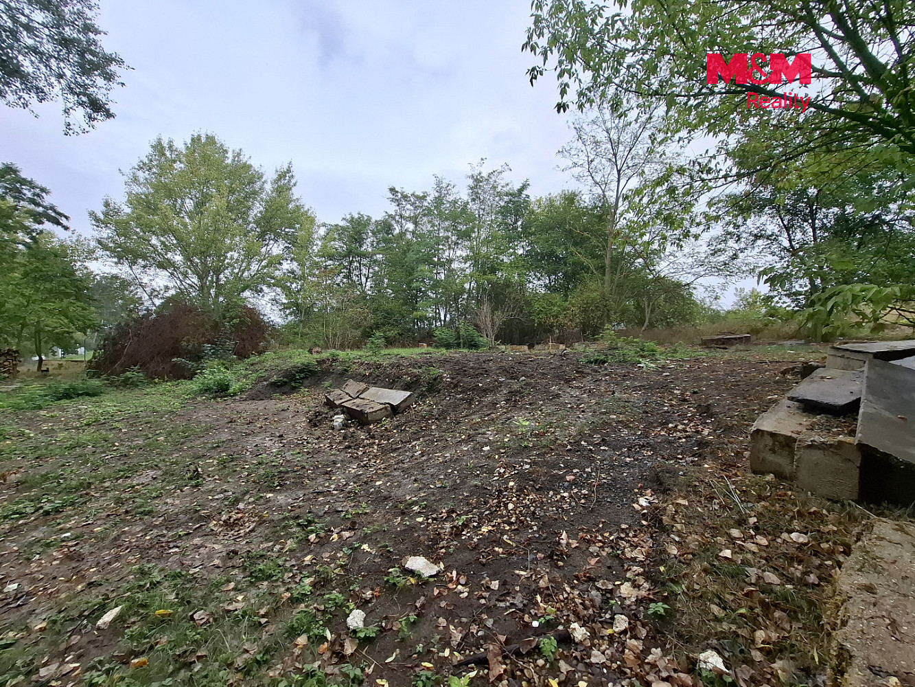 Prodej lesa 815 m² – fotografie 5