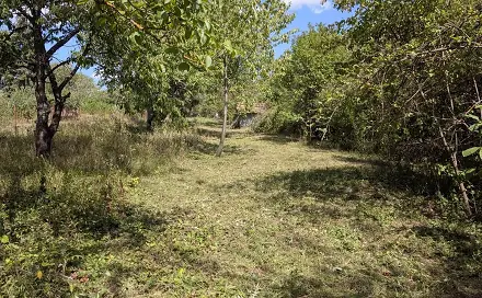 Ostatní
