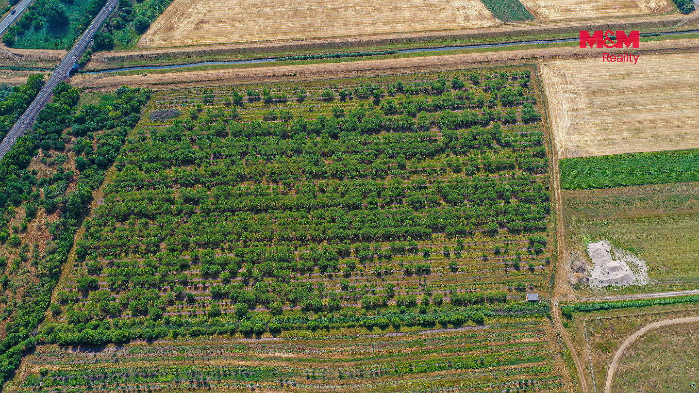 Prodej pole 12 442 m² — photo 2