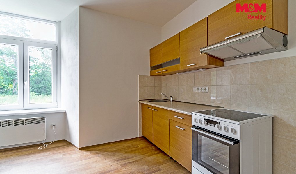 Pronájem bytu 1+kk 36 m², Vlčice – náhled fotky 2