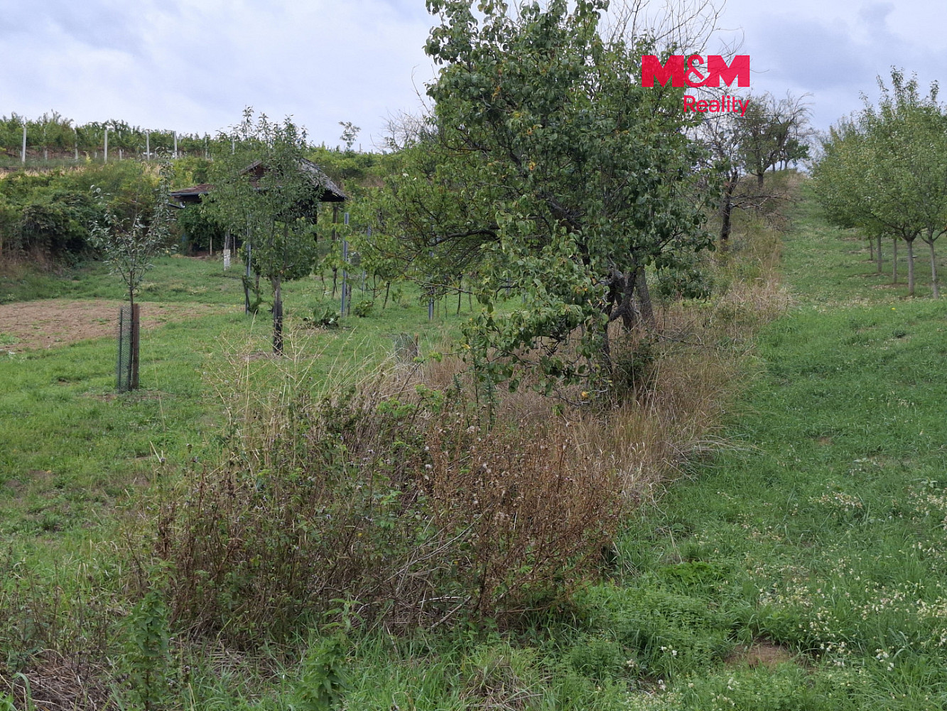 Prodej pole 610 m²