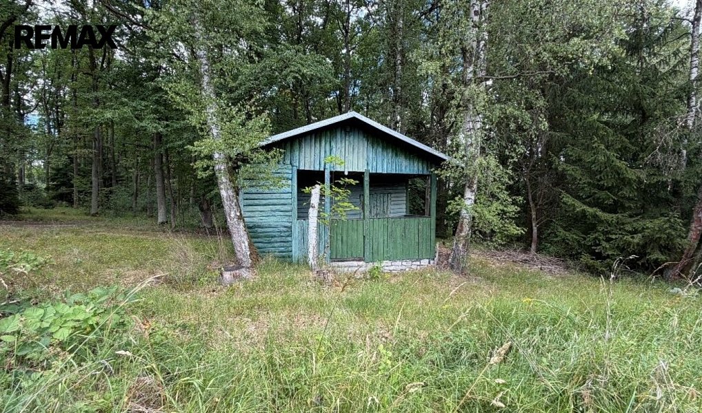 Prodej chaty/chalupy 36 m² s pozemkem 293 m², Nebílovy – fotka 1 z 13