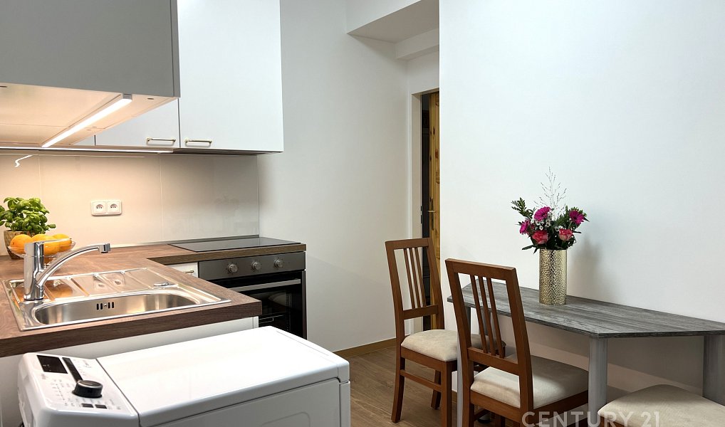 Pronájem bytu 2+1 45 m², Brno – náhled fotky 10