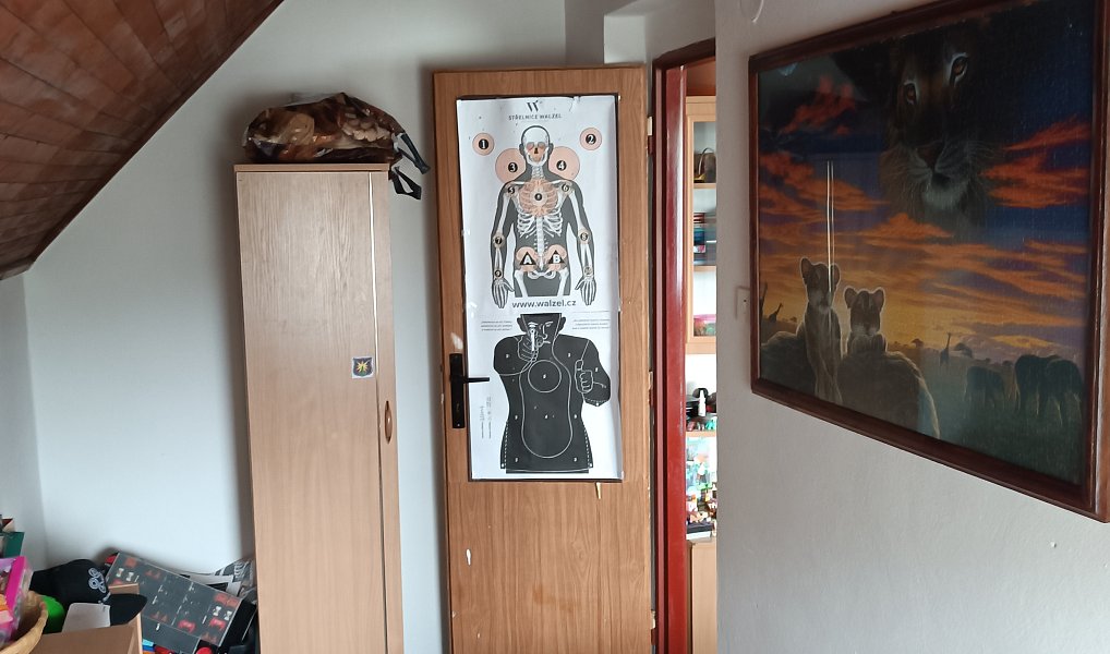 Prodej domu 150 m² s pozemkem 1 000 m², Šonov – náhled fotky 42