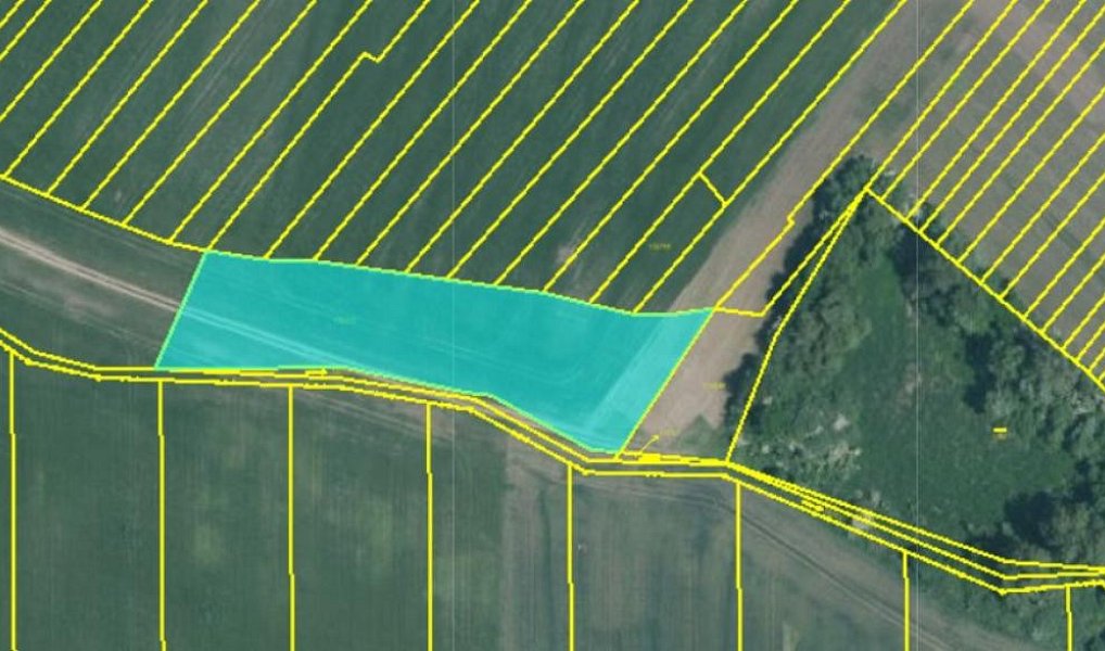 Prodej pozemku 7 335 m², Popůvky – náhled fotky 5