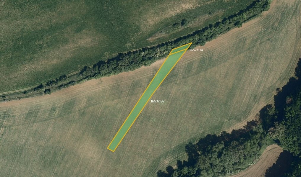 Prodej pole 14 142 m², Kyjov – náhled fotky 2