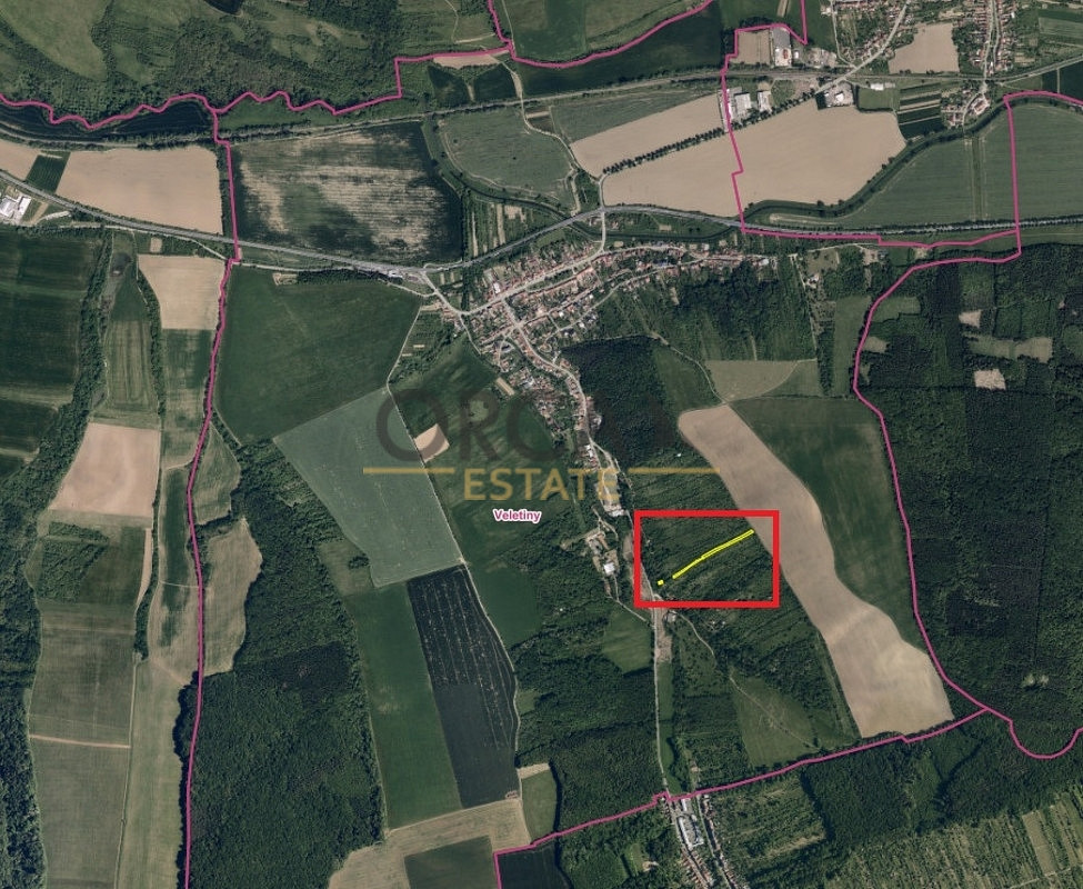Prodej zahrady 1 967 m² – fotografie 3