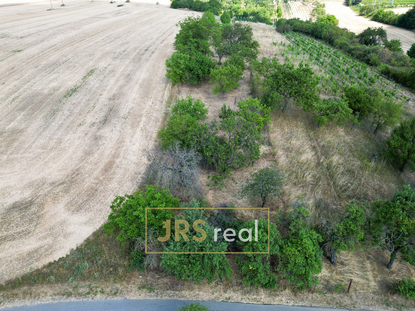 Prodej pole 1 046 m² – fotografie 3