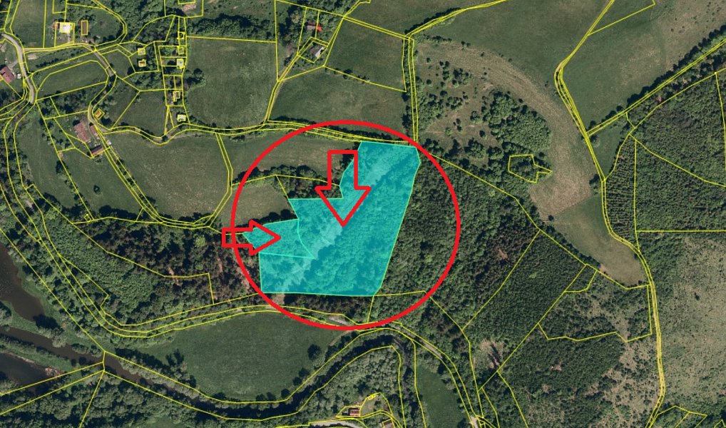 Prodej lesa 5 829 m², Malá Bystřice – náhled fotky 11