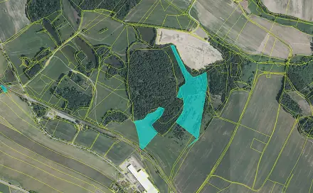 Prodej louky 54 908 m², Jindřichův Hradec - Děbolín