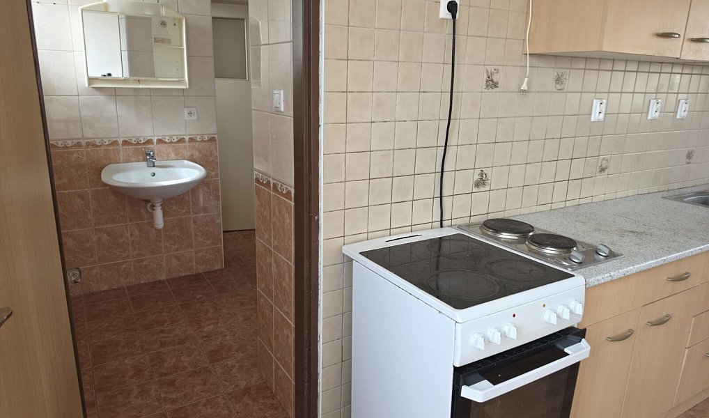 Prodej domu 240 m² s pozemkem 1 421 m², Žlutice – náhled fotky 12