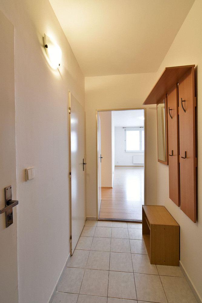 Pronájem bytu 1+kk 40 m² – fotografie 5
