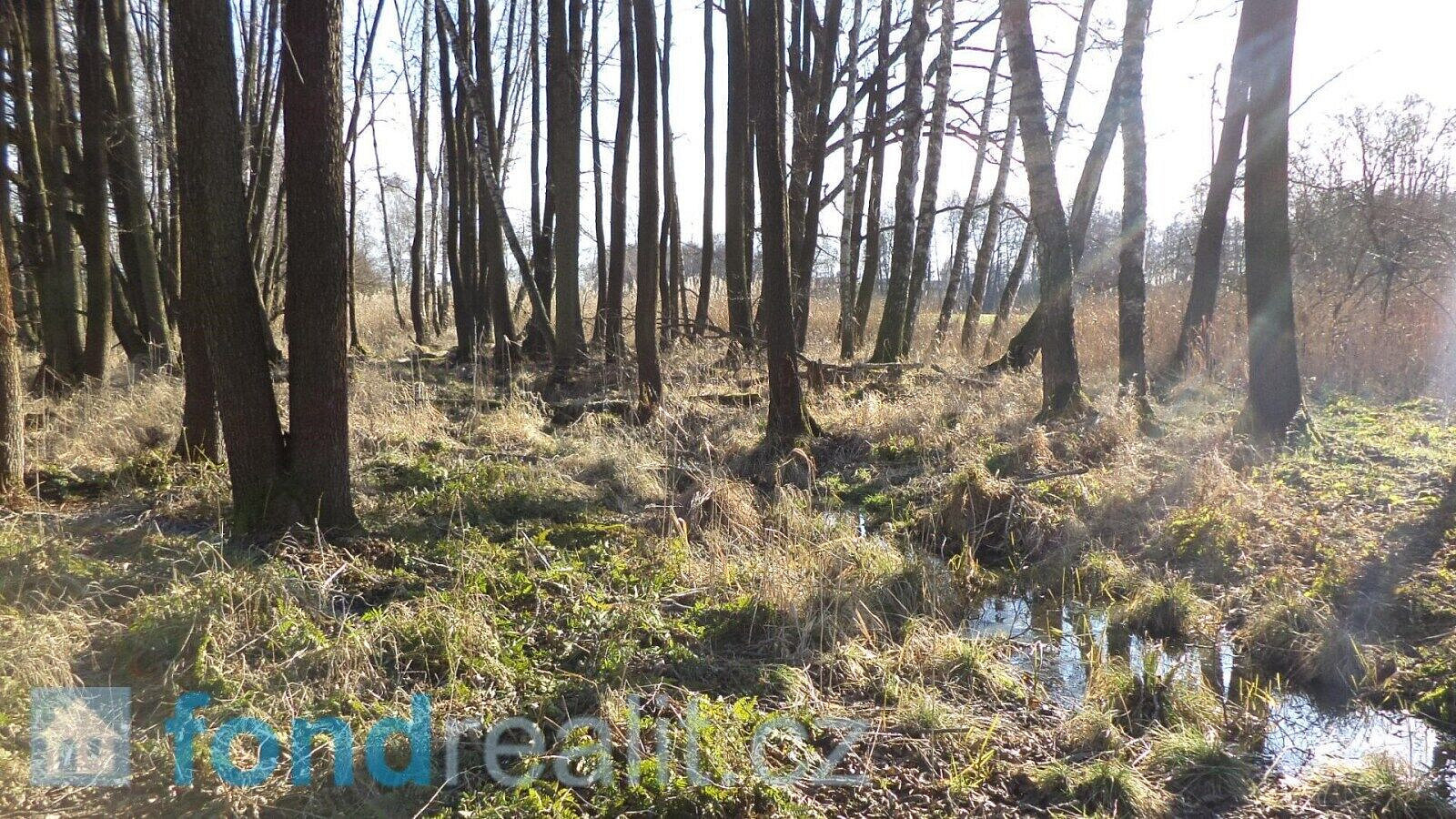 Prodej pozemku 41 773 m² – pohled 4