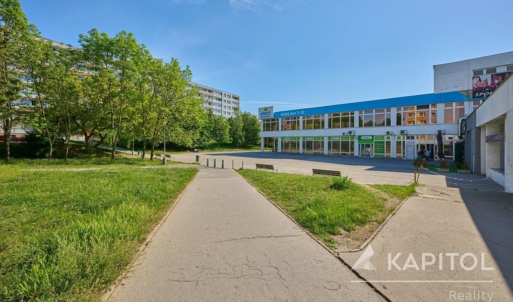 Prodej bytu 4+1 90 m², Praha – náhled fotky 14