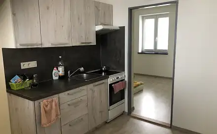 Pronájem bytu 1+1 36 m²