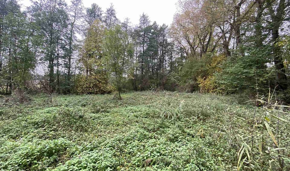 Prodej pozemku 1 049 m², Čáslavice – náhled fotky 2