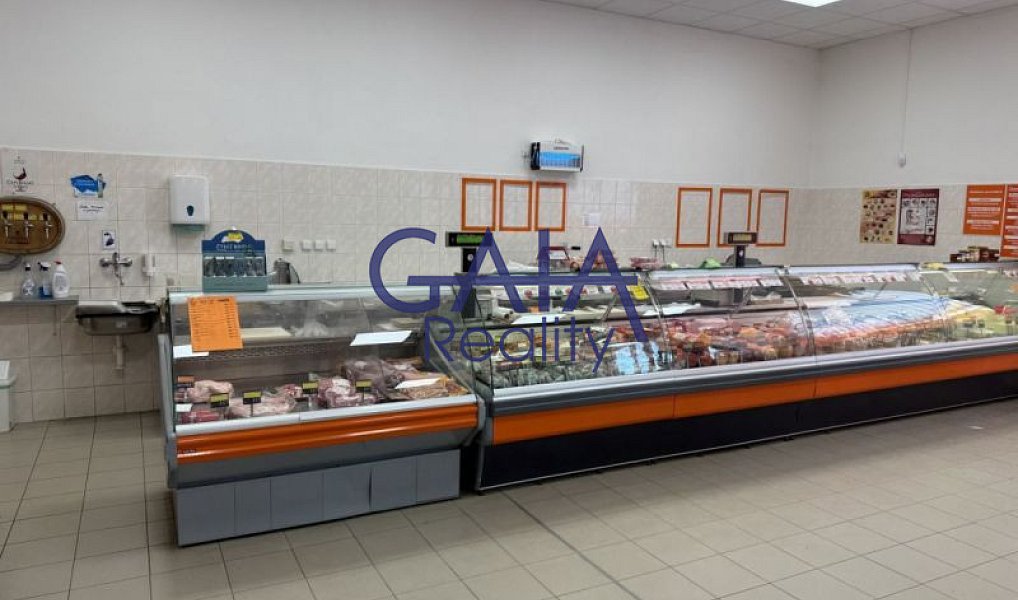 Prodej obchodních prostor 600 m², Dačice – náhled fotky 4