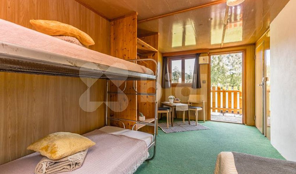 Prodej komerčního objektu (jiného typu) 12 398 m², Kájov – náhled fotky 24