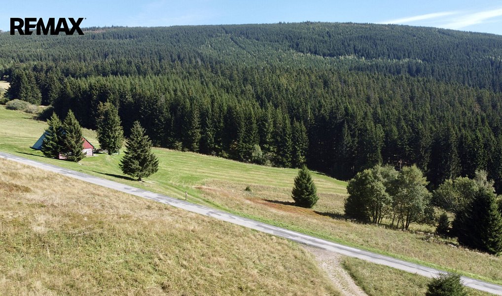 Prodej louky 28 918 m², Malá Úpa – náhled fotky 7