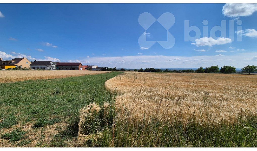 Prodej pole 773 m², Stará Ves – náhled fotky 5
