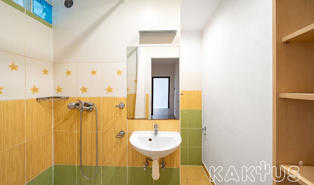 Pronájem bytu 2+1 46 m², Ostrava – náhled fotky 11