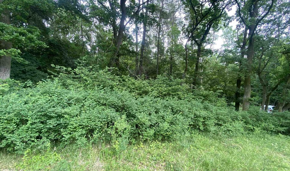 Prodej pozemku 576 m², Třebívlice – náhled fotky 2