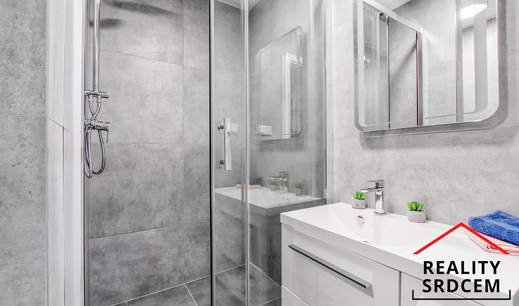 Pronájem bytu 1+1 34 m², Karviná – náhled fotky 8