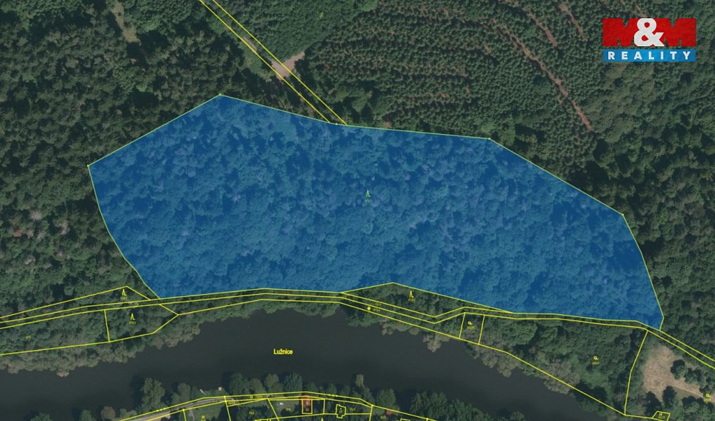 Prodej lesa 39 640 m², Řepeč – náhled fotky 5