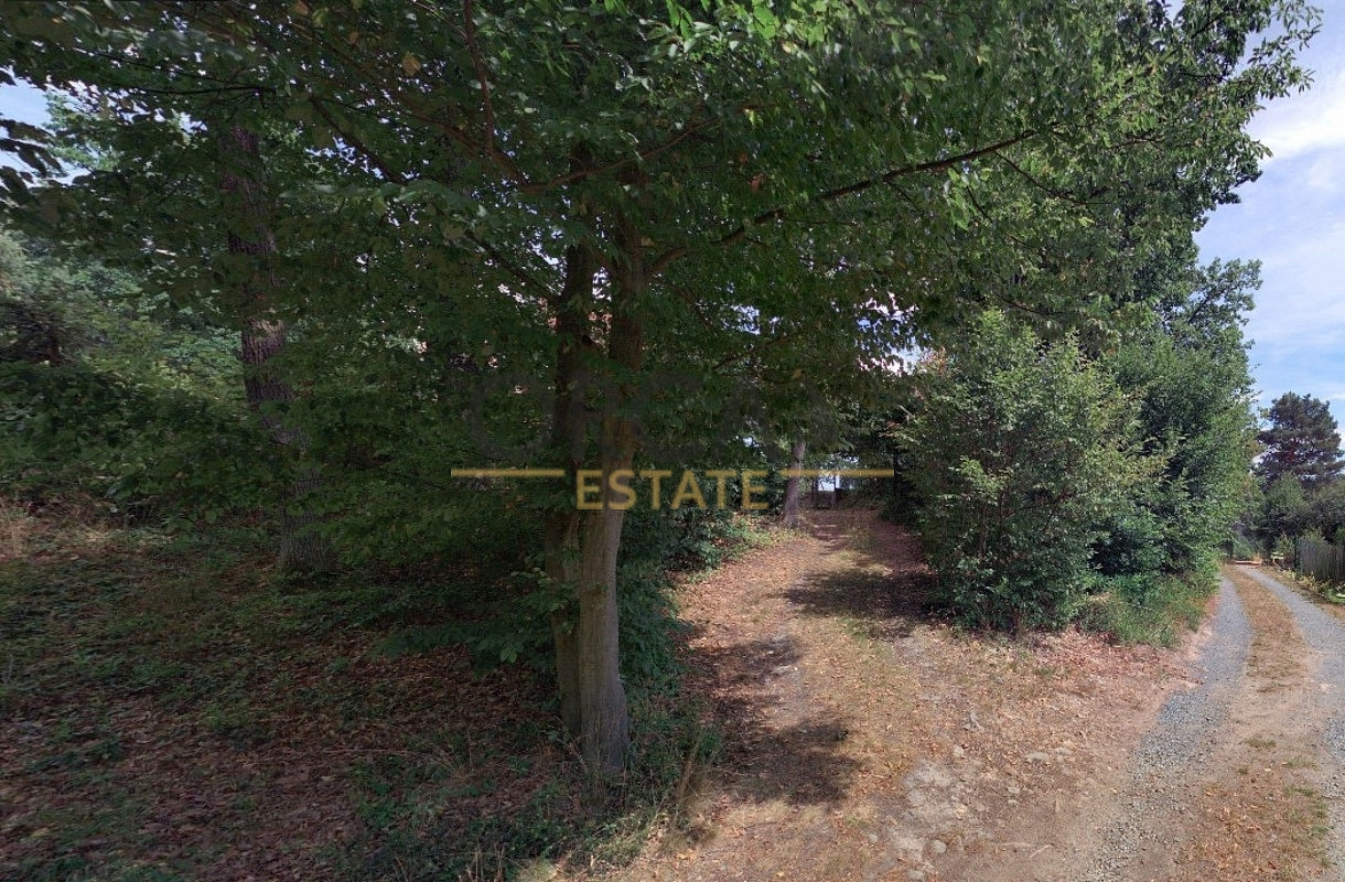 Prodej lesa 1 251 m² – fotografie 5