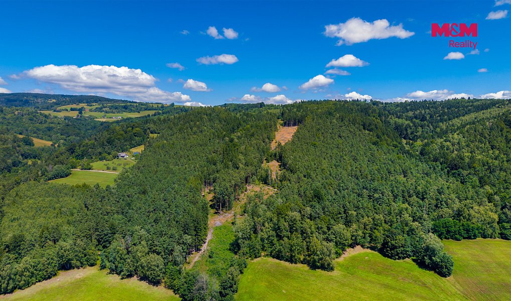 Prodej lesa 22 447 m², Bílá – náhled fotky 2